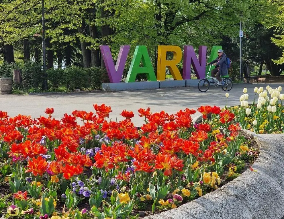Морски Бриз Varna 0*,